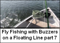 Buzzers on a Floating Line 7