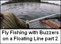 Buzzers on a Floating Line 2