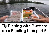 Buzzers on a Floating Line 5