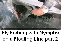 Nymphs on a Floating Line 2
