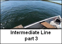 Intermediate 3